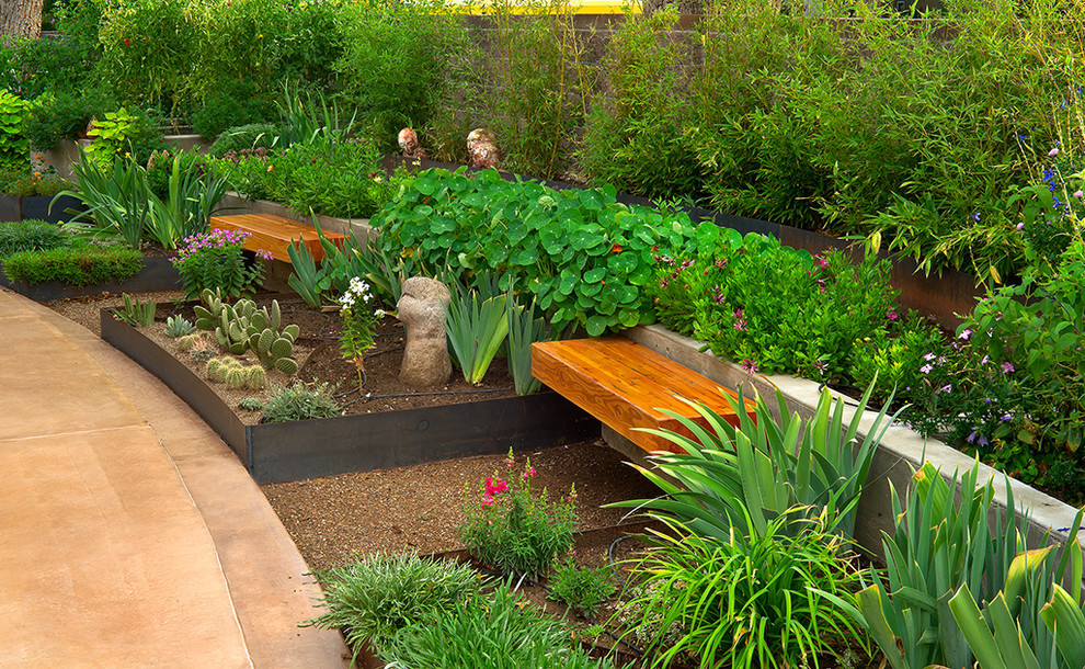 This is an example of a contemporary garden in Albuquerque with with raised garden bed.