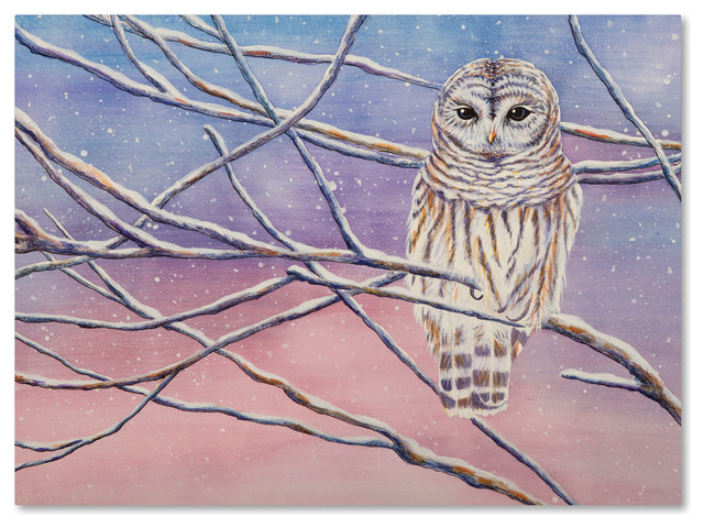 Michelle Faber 'Snowy Barred Owl' Canvas Art, 19x14