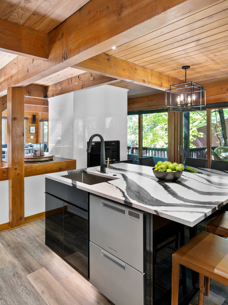 This is an example of a contemporary kitchen in Columbus.