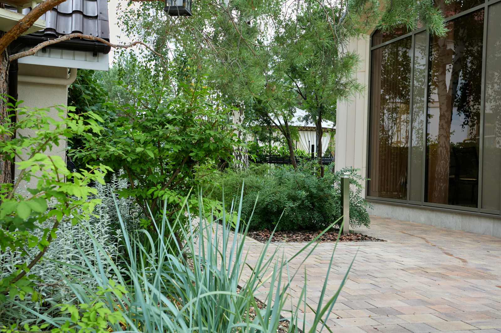 Чистые линии