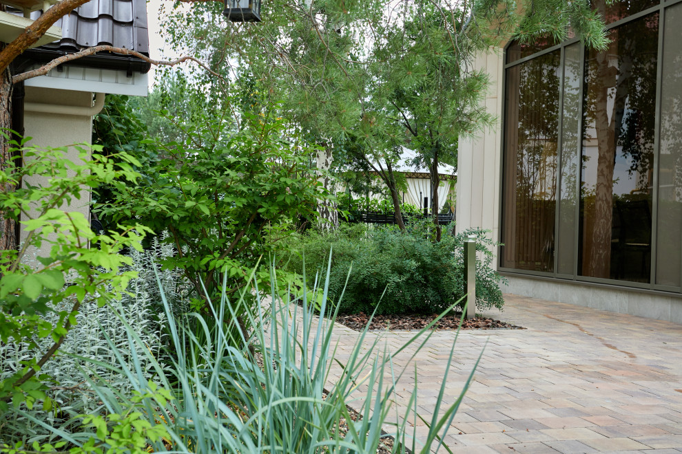 Чистые линии