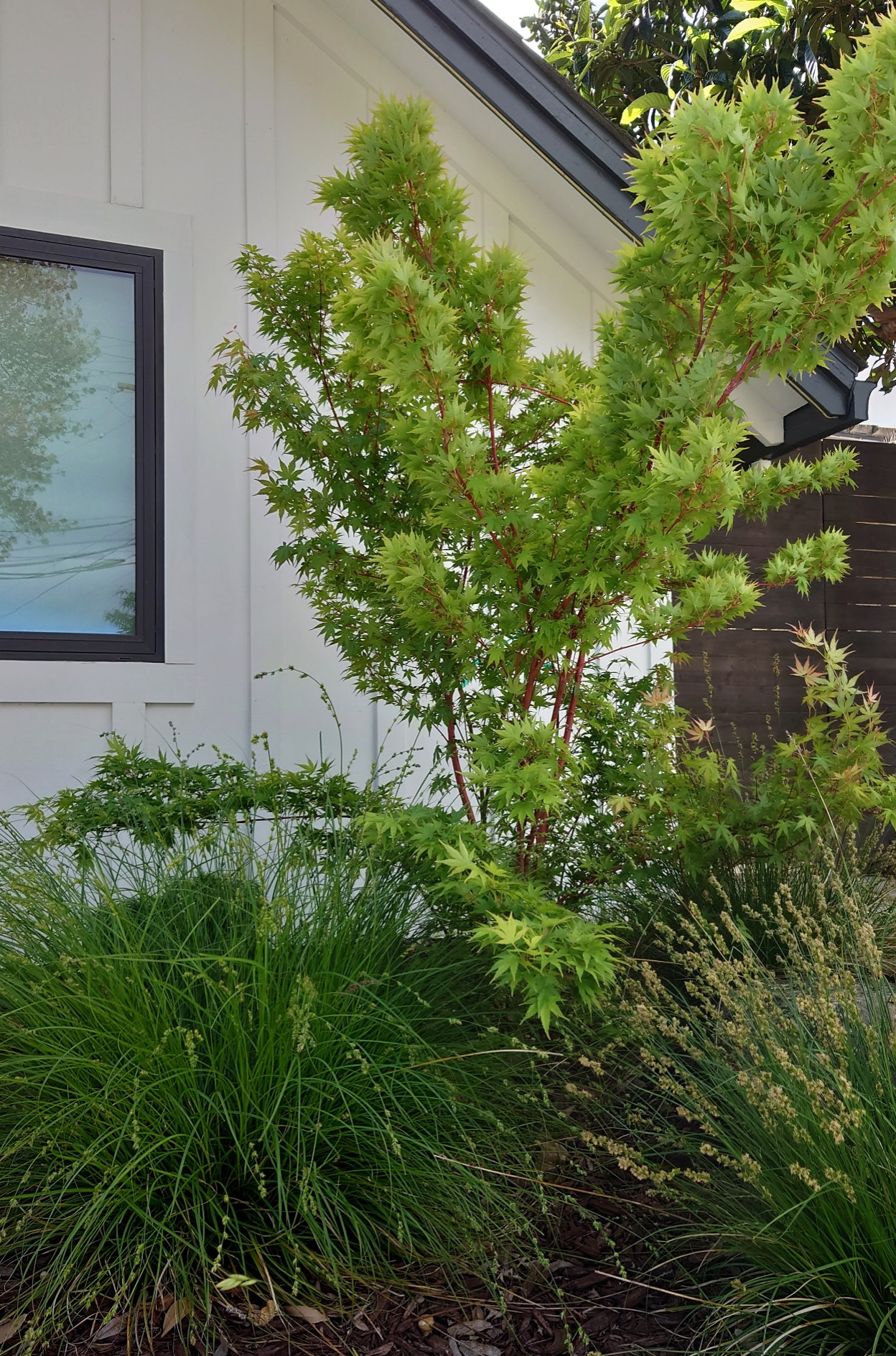 MODERN, MODERN, MODERN