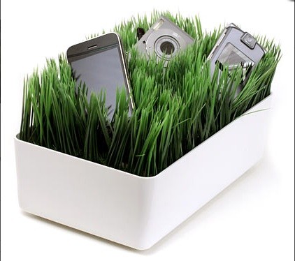 Grassy Lawn Charging Station