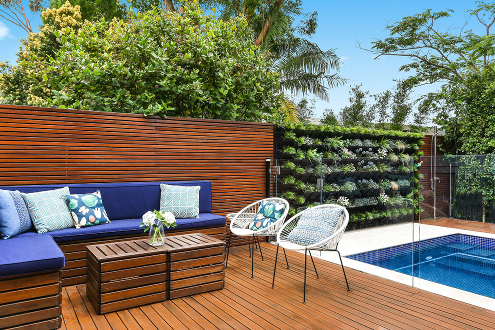Design ideas for a transitional backyard deck in Sydney with a vertical garden.