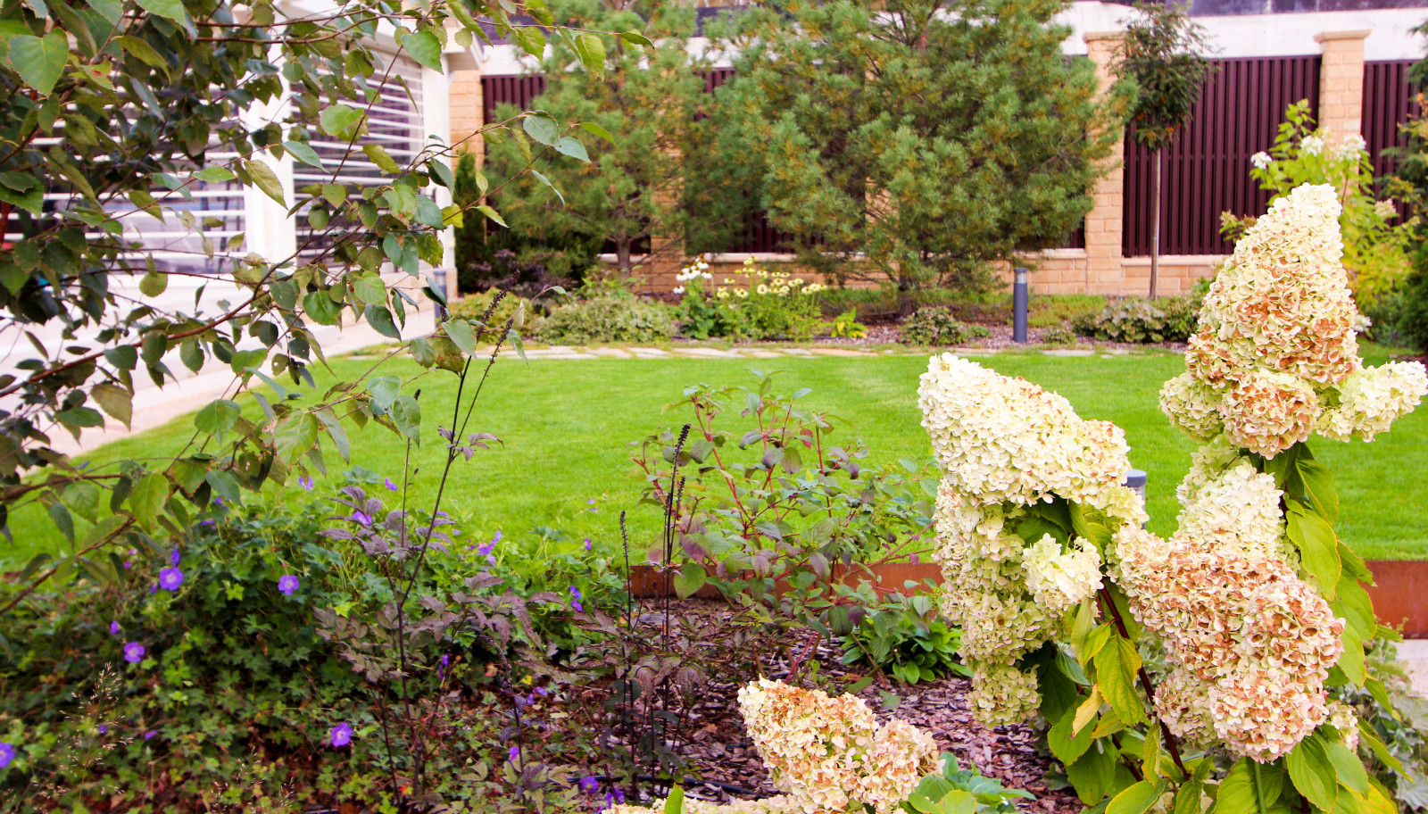 Павлово-2, 2022-2024 г.г.