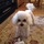 carol_martin83