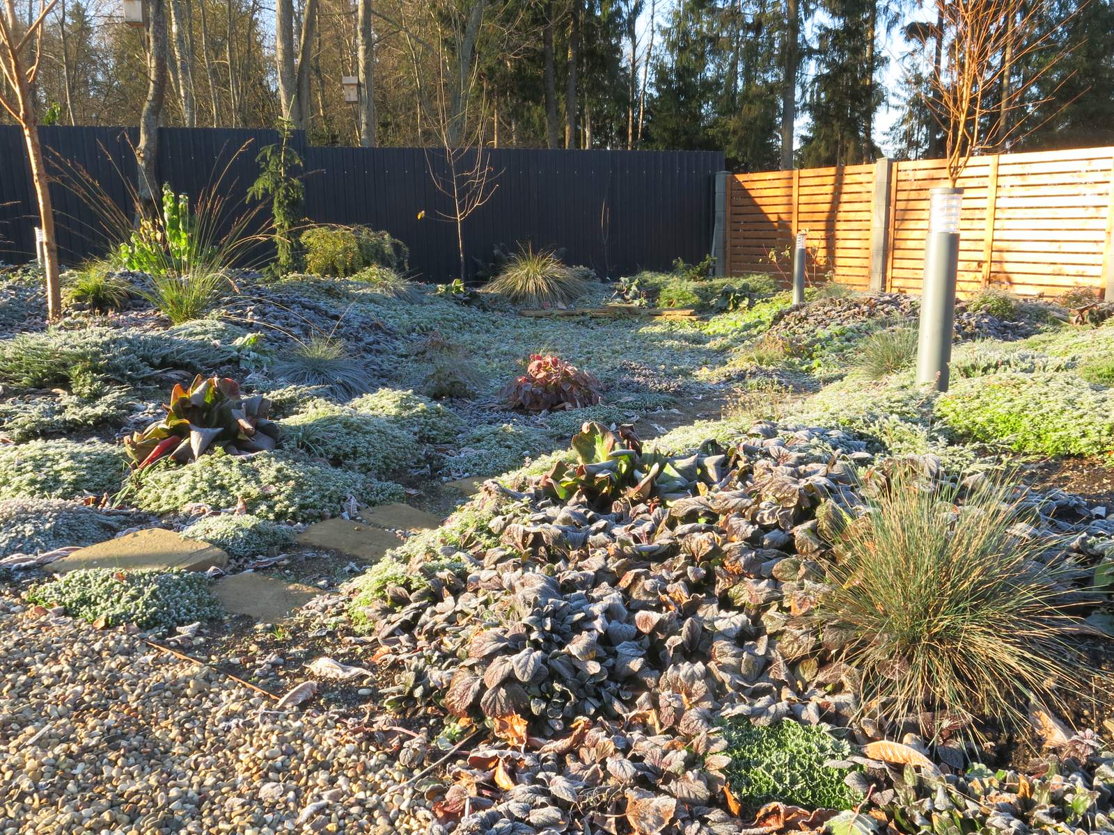 ЯГОДНОЕ ЛУКОШКО. СЕЗОН 2016. ПРЕДЗИМЬЕ. ПЕРВЫЕ ЗАМОРОЗКИ.