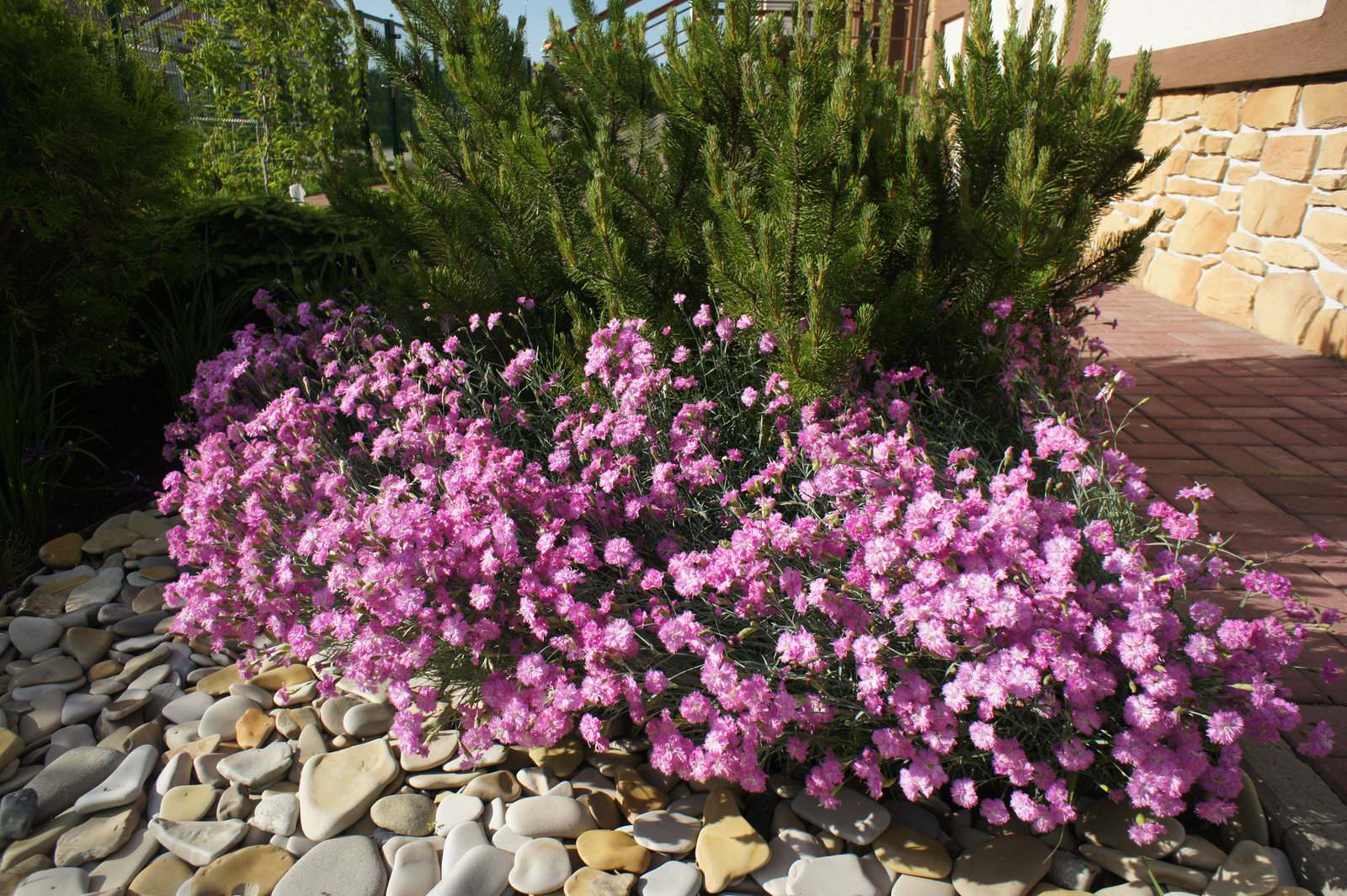 МОРЕСОЛНЦЕ