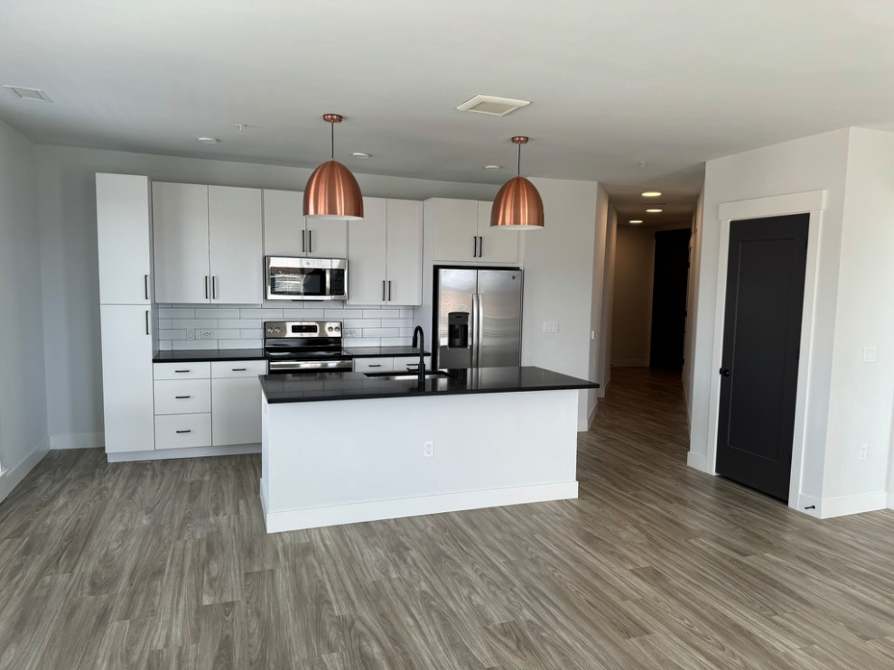 Contemporary Kitchen Remodel