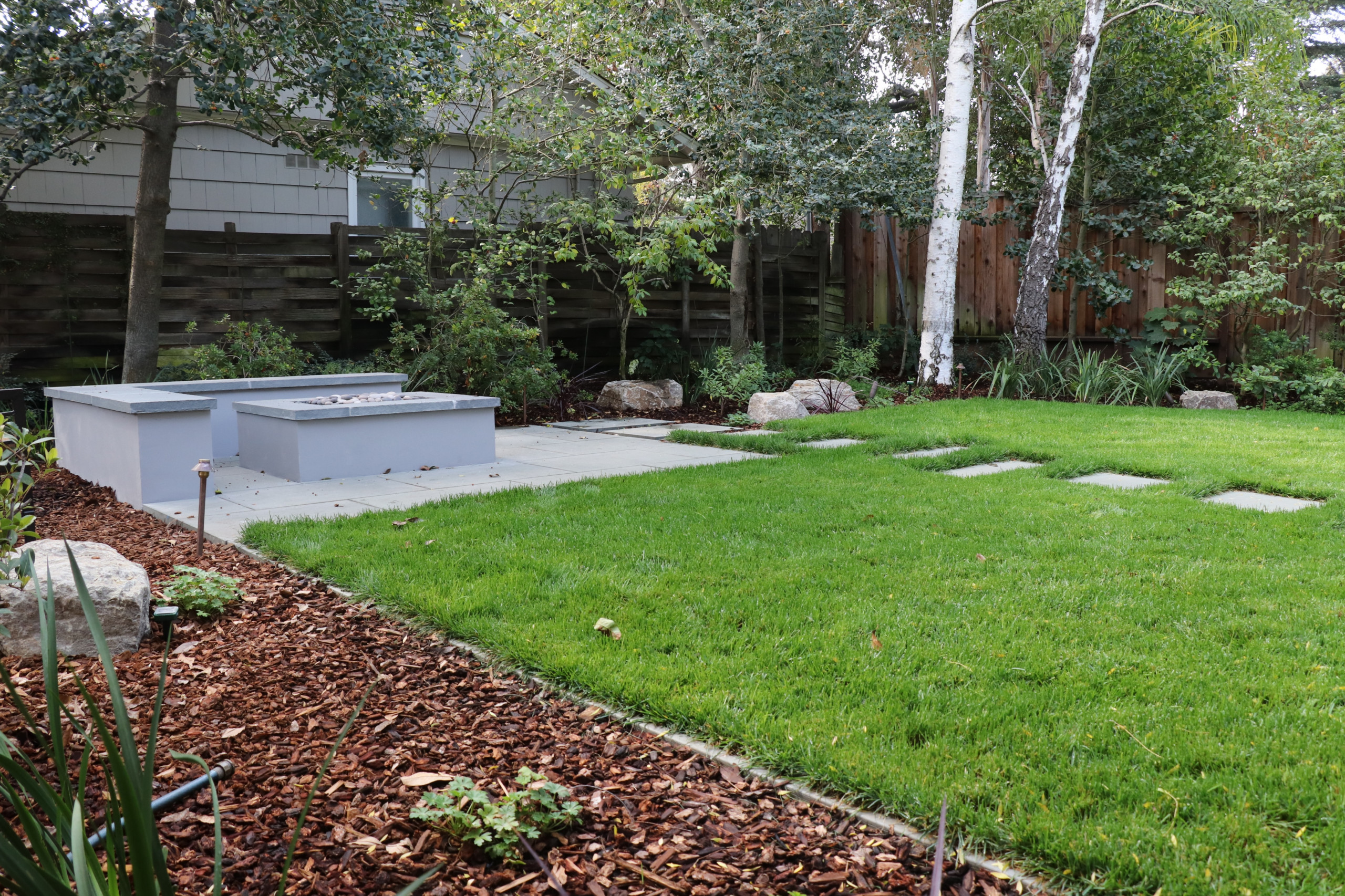 SWEDISH FLAME IN WOODS