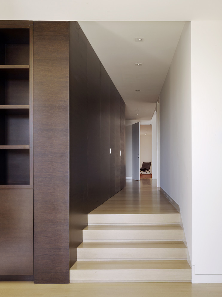Design ideas for a modern hallway in San Francisco with white walls and light hardwood floors.