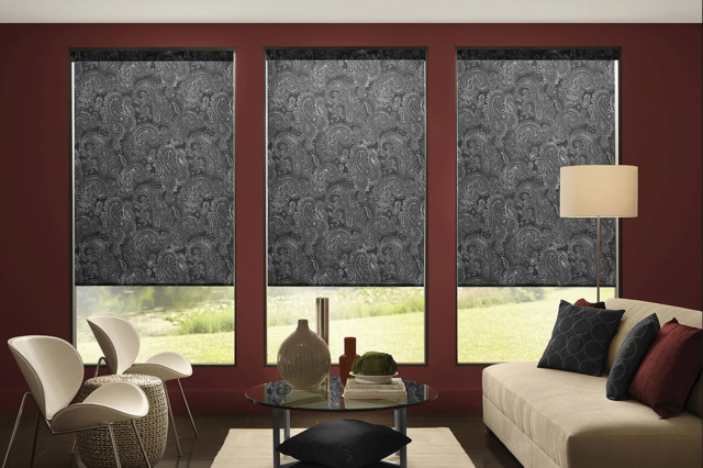 Designer Roller Shades modern-wohnbereich