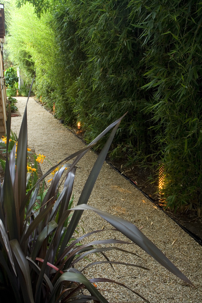 This is an example of a contemporary side yard garden in San Francisco.