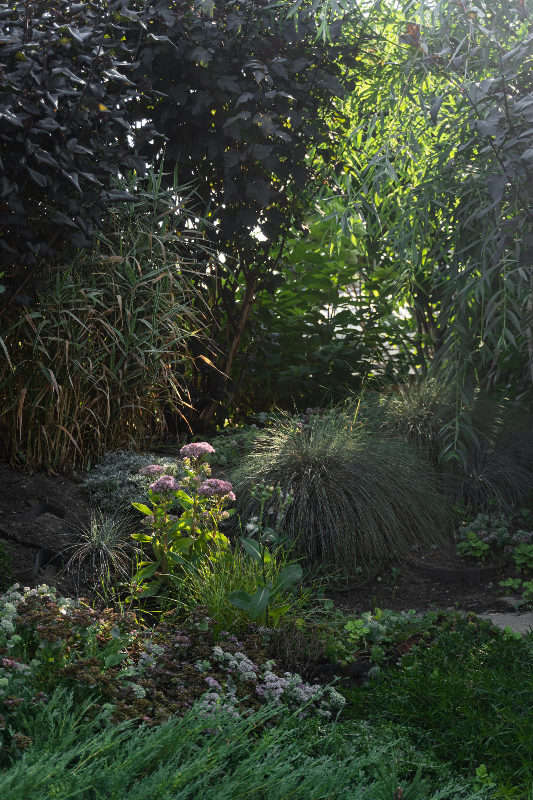 Сад на крутом склоне