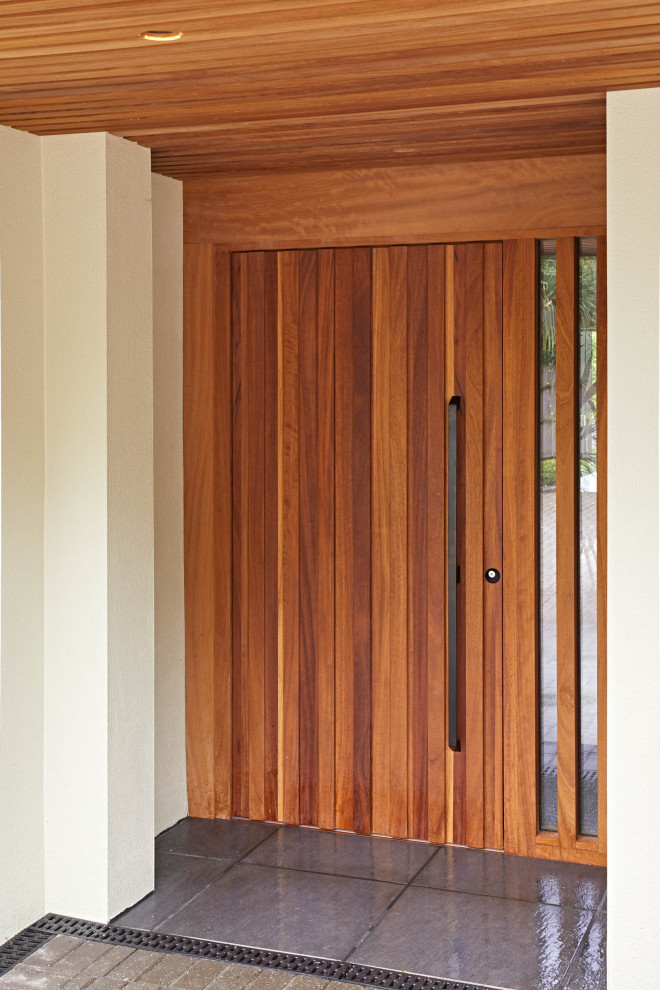 Immagine di un ingresso o corridoio con una porta singola