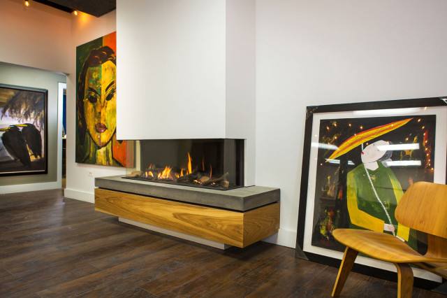 Contemporary Fireplaces contemporary-living-room