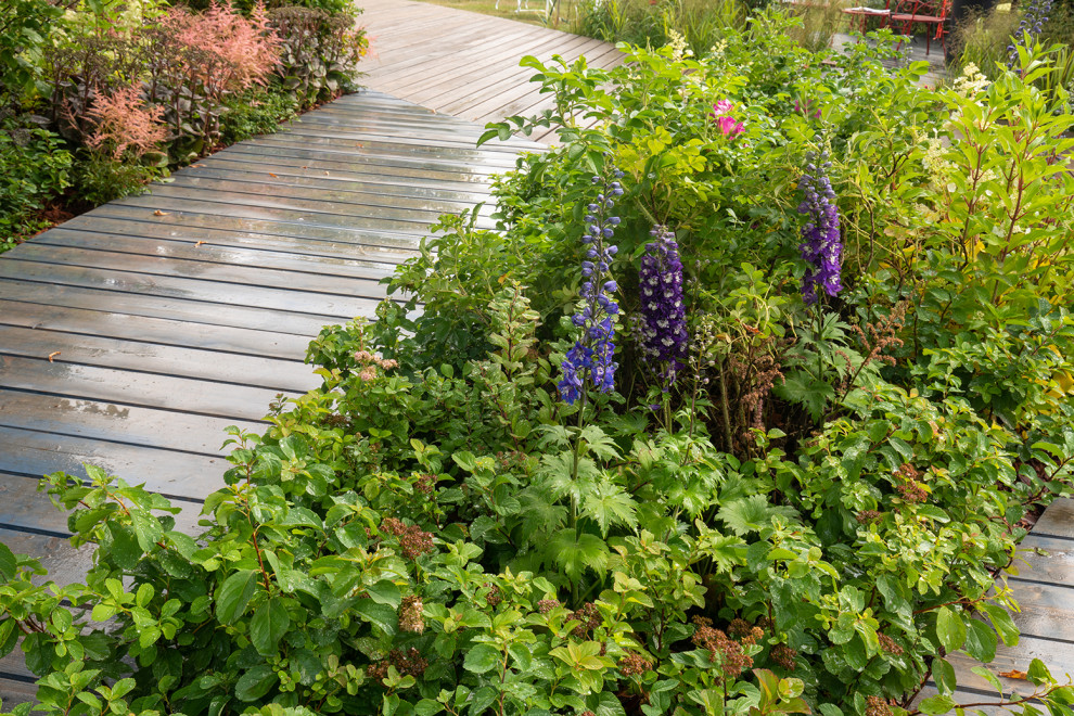 Фотосъемка Сада   по  Метрелинку на MFS 2019 Авторы М,Береснева М. ПРИНТЦ