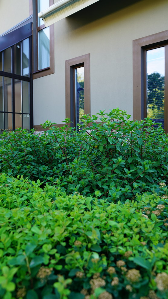 Вспоминая Нормандию КП Визендорф 2017 г