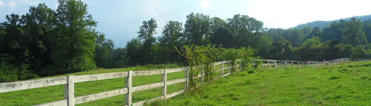 Bald Head Realty Franklin Nc Us 28734