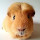 montmorency_fish