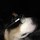 simon_kent4176566