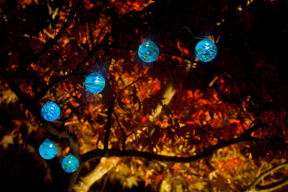 This is an example of an eclectic landscaping in Seattle.