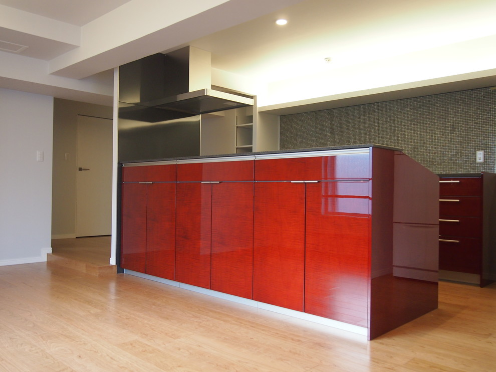 Design ideas for a modern kitchen in Other with red cabinets and black splashback.