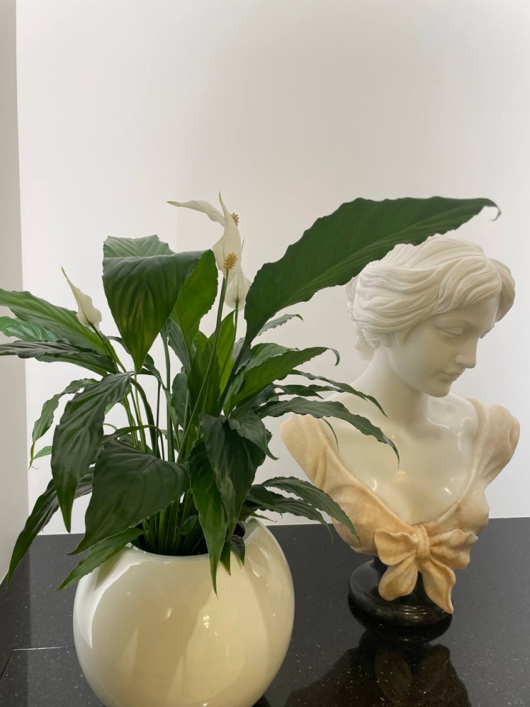 Клиника косметологии г. Санкт-Петербург