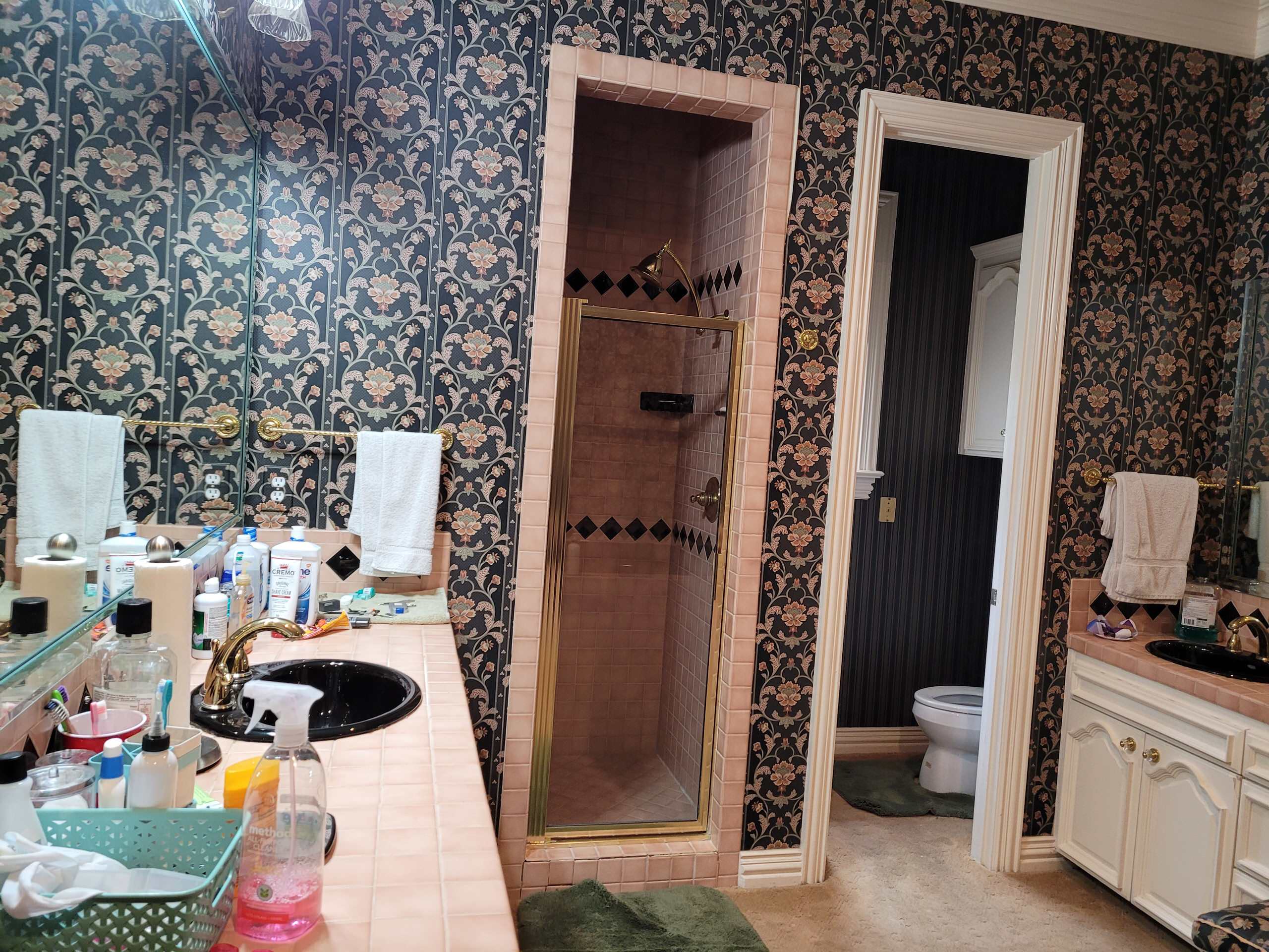 Master Bathroom Remodel