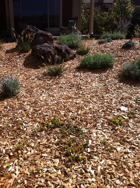 front-lawn-rebate-project-traditional-garden-san-francisco-by