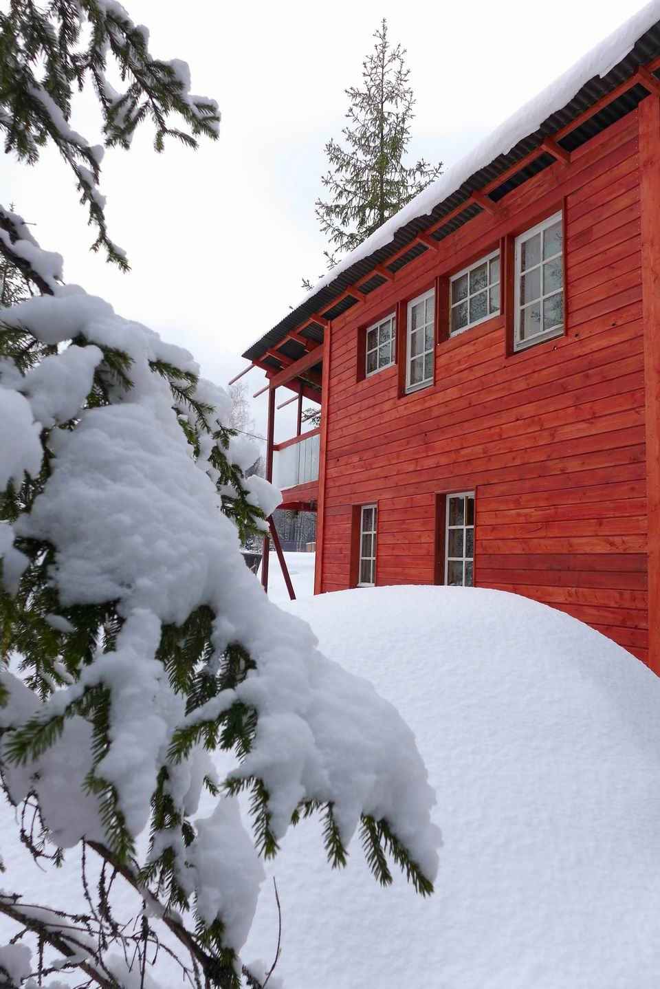 Дом с ёлкой 45 кв.м.