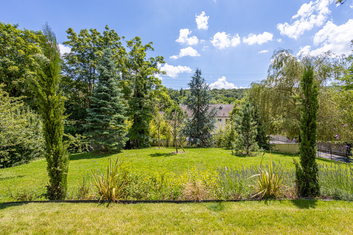 Création d'un grand jardin avec piscine