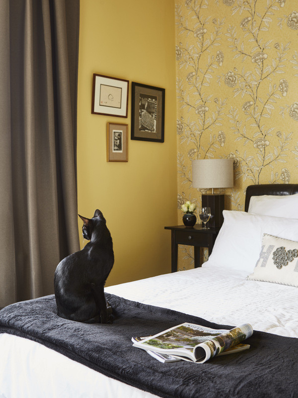 Photo of a bohemian guest bedroom in Sussex with yellow walls, carpet, black floors and a feature wall.