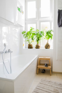 Ein Hauch von Kapstadt: Modernes Design trifft Gründerzeit-Wohnung