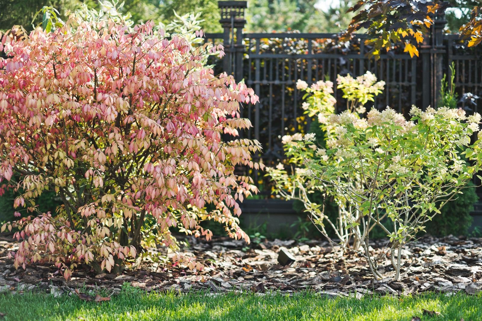 Современный сад на Успенском шоссе