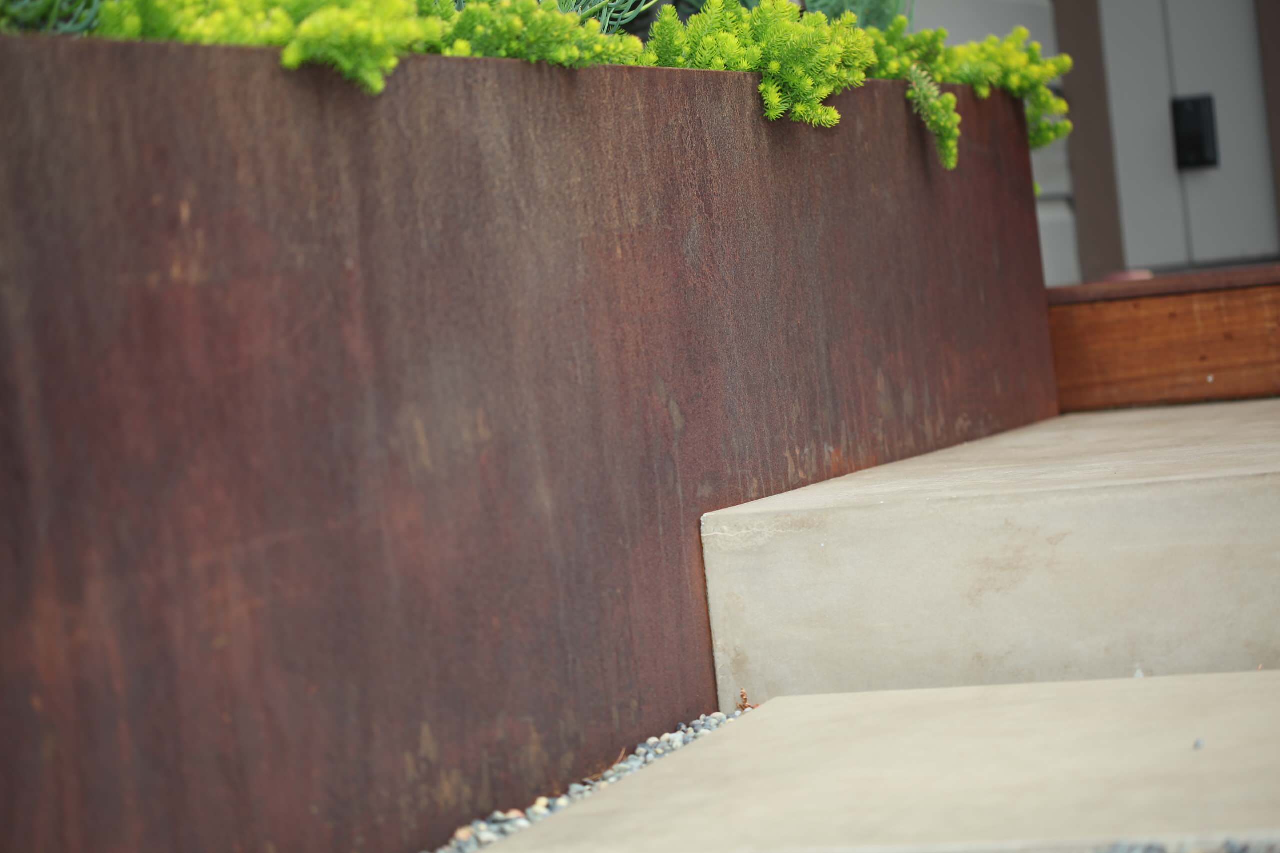 A Modern San Francisco Front Entry Garden