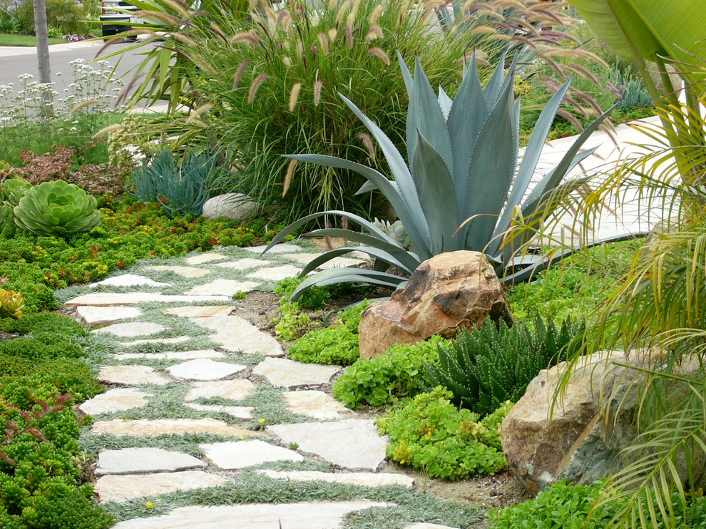This is an example of a mediterranean full sun xeriscape in San Diego with natural stone pavers.