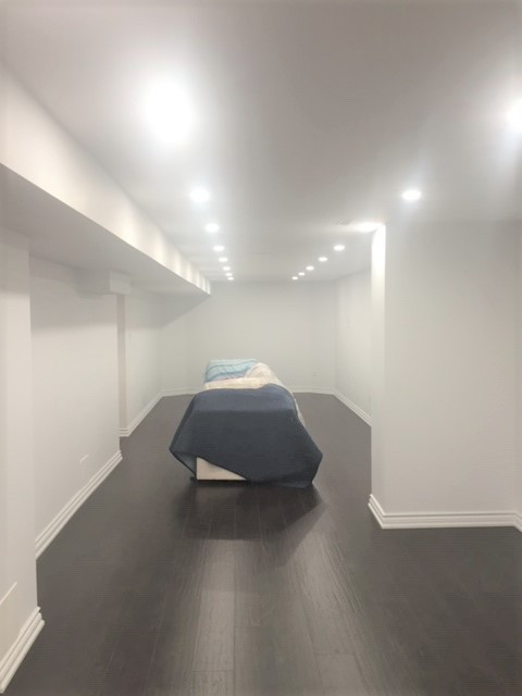 Complete Basement Renovation