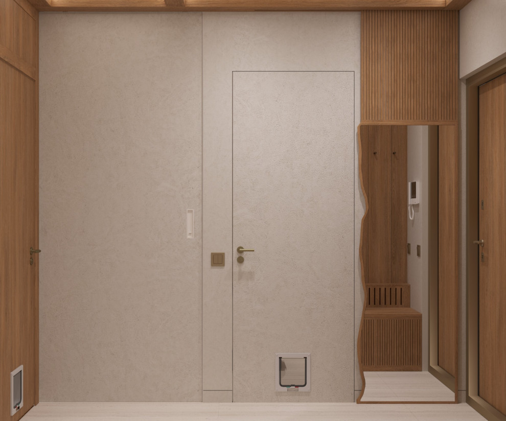 Проект квартиры в Москве, джапанди