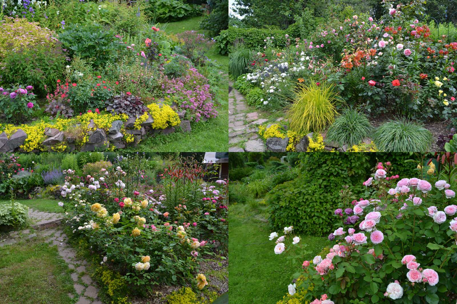 Сад  «Моя цветущая планета».