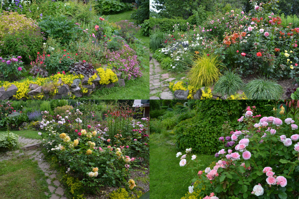 Сад  «Моя цветущая планета».