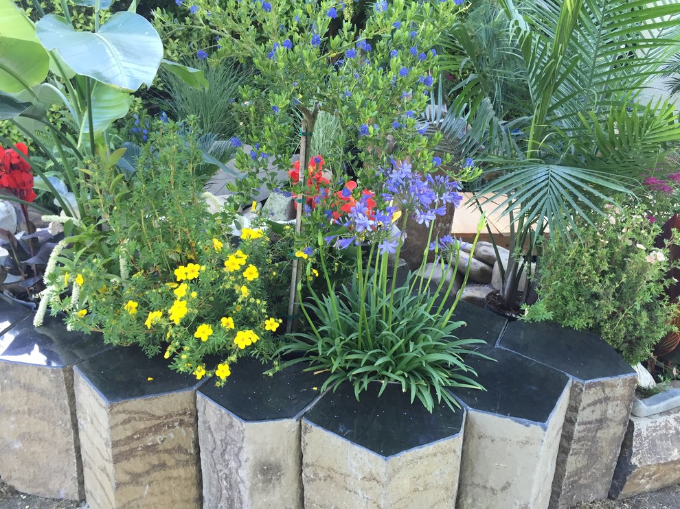 Inspiration for a tropical garden in Seattle with a container garden and natural stone pavers.