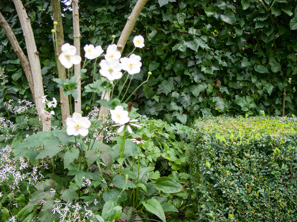 Klassischer Garten in Düsseldorf