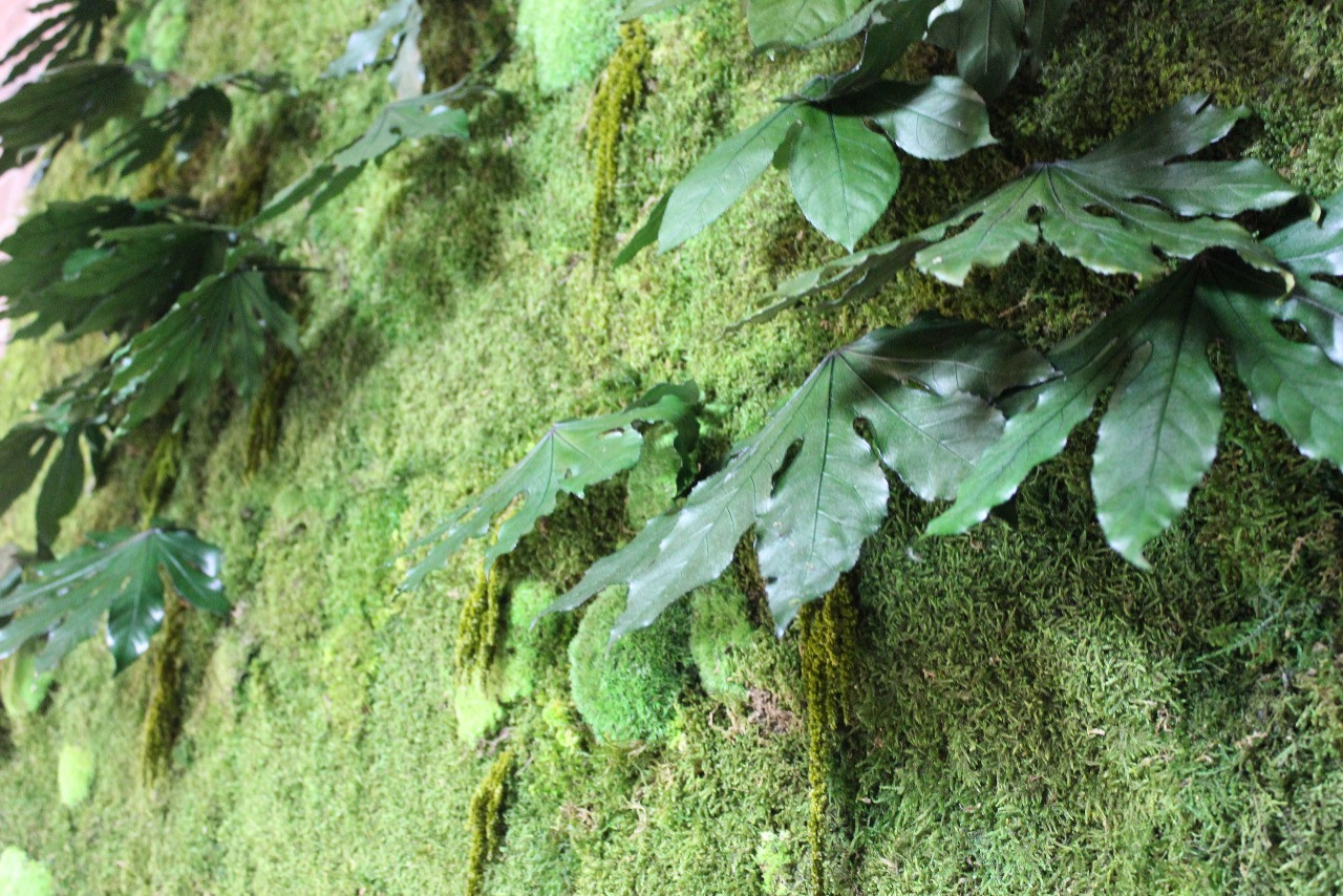 Озеленение санатория "Истокъ"