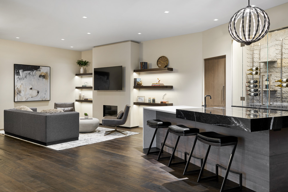 Design ideas for a large modern walk-out basement in Denver with a home bar, white walls, dark hardwood floors, a standard fireplace, a plaster fireplace surround and brown floor.