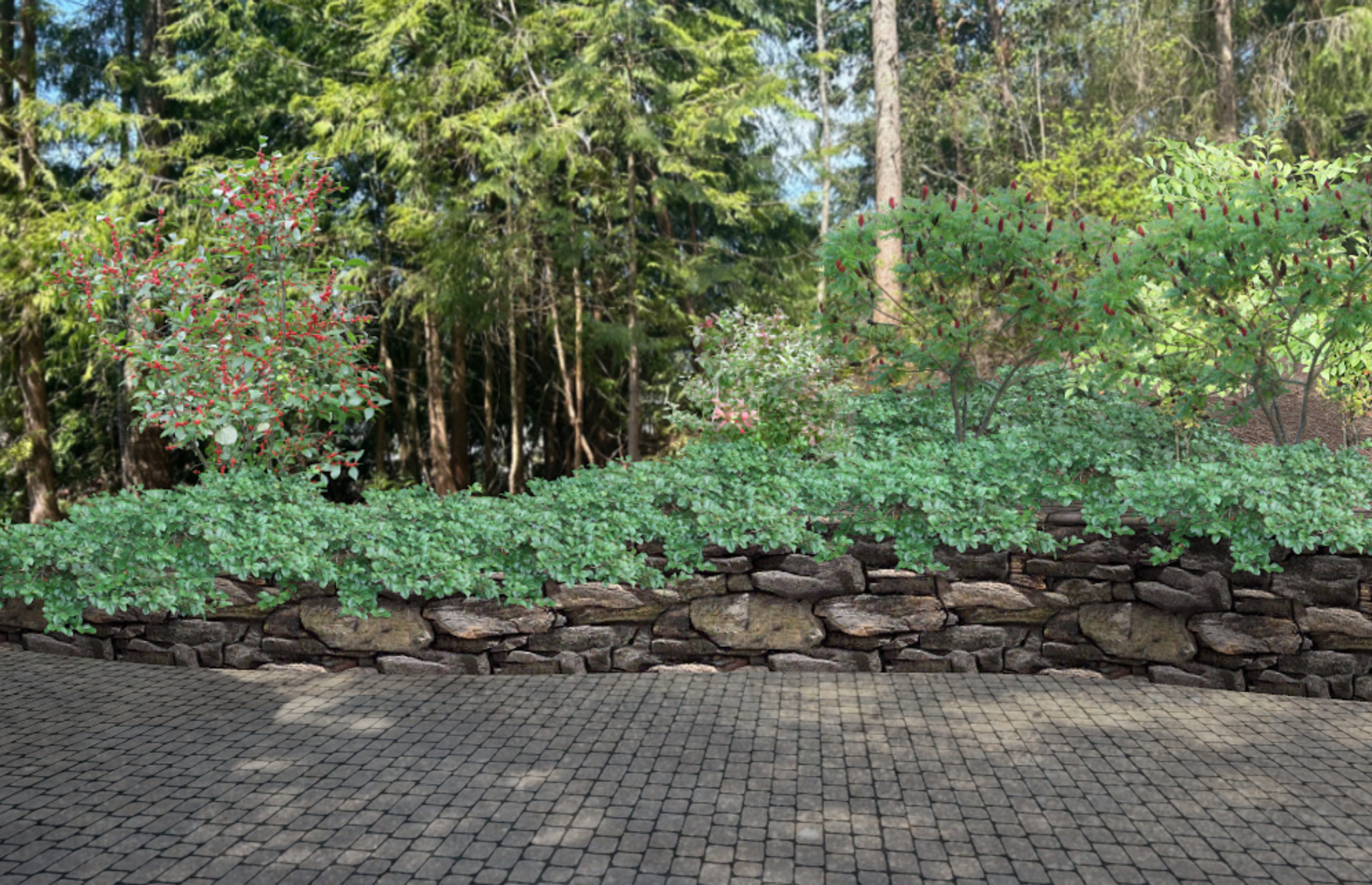 Creating Curb Appeal