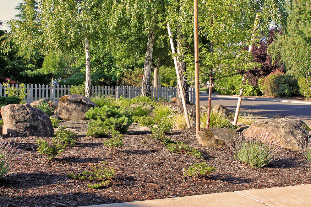 Granite Boulder Front Yard Garden - Contemporary - Landscape - Other