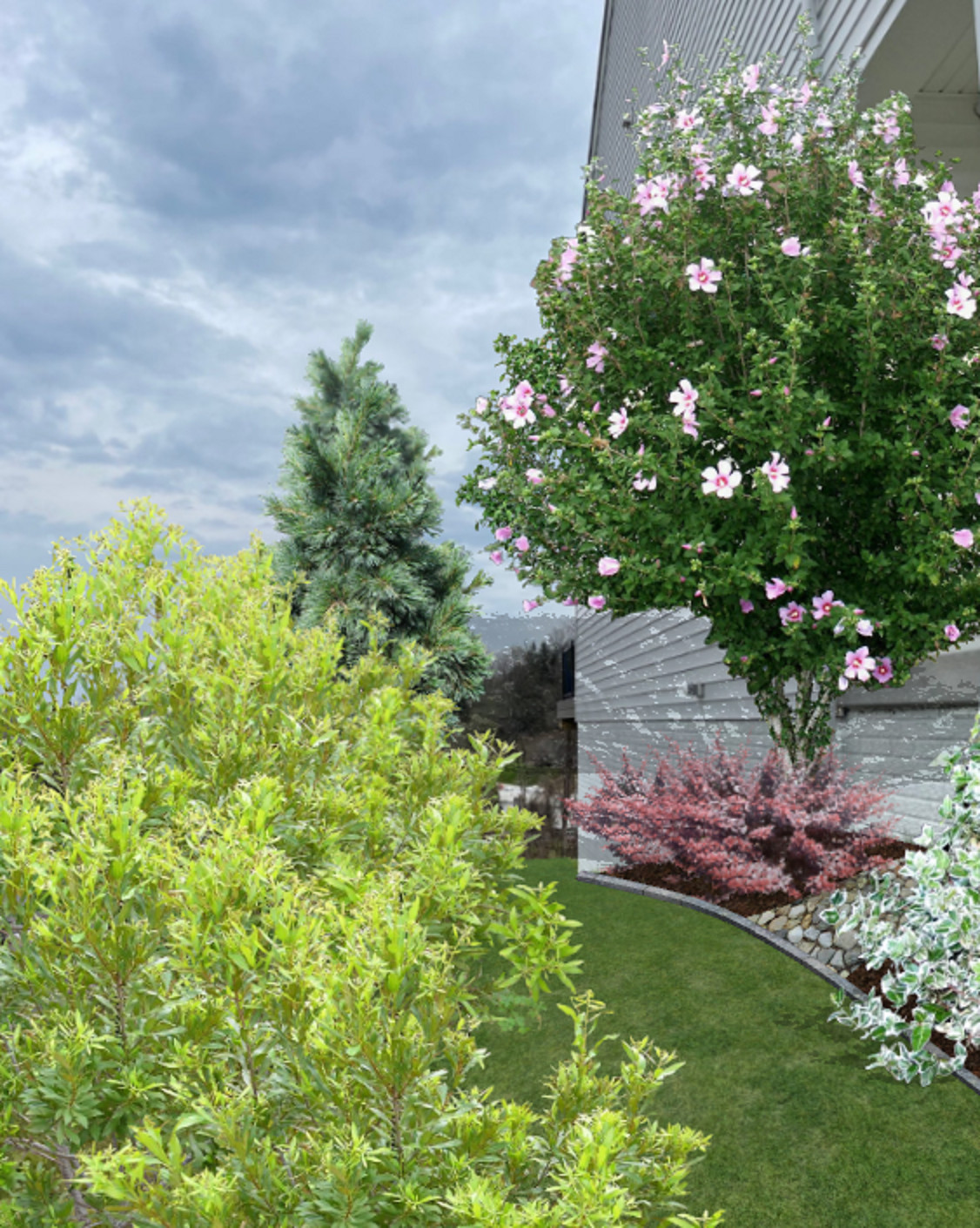 Foundation Plantings
