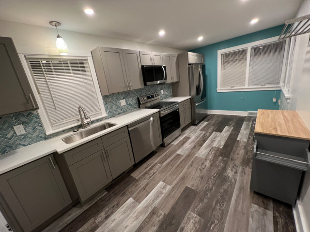 Kitchen Remodel trendy-koekken