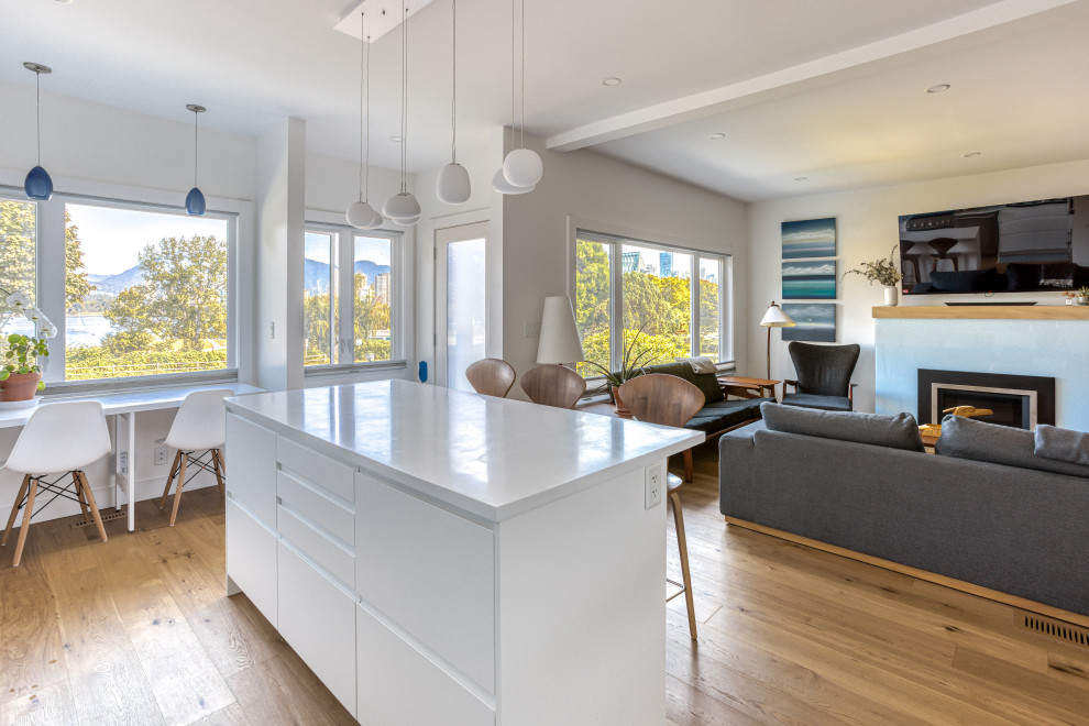 Kitsilano House Renovation